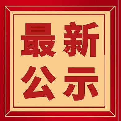 红色简约公示公众号次图
