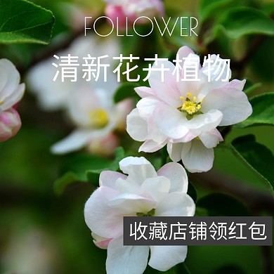 清新植物花卉年中大促主图直通车