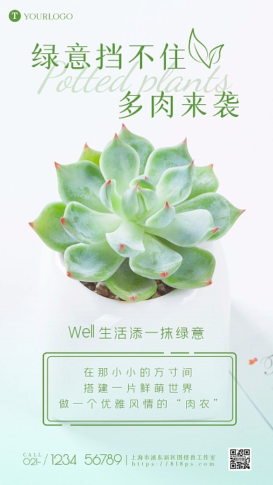 多肉盆栽百货摄影图海报