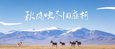 有关诗蓝色简约公众号封面图