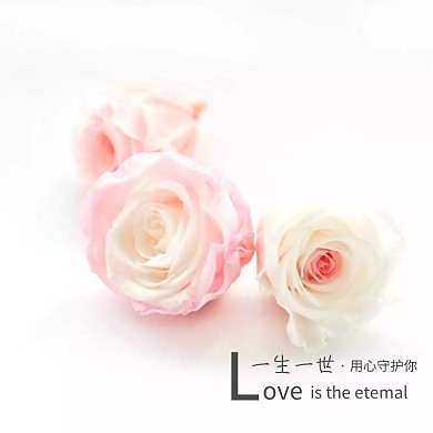 超级大牌狂欢婚庆主图直通车模板