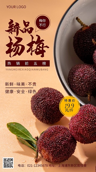摄影图热销前五榜紫色简约风手机海报