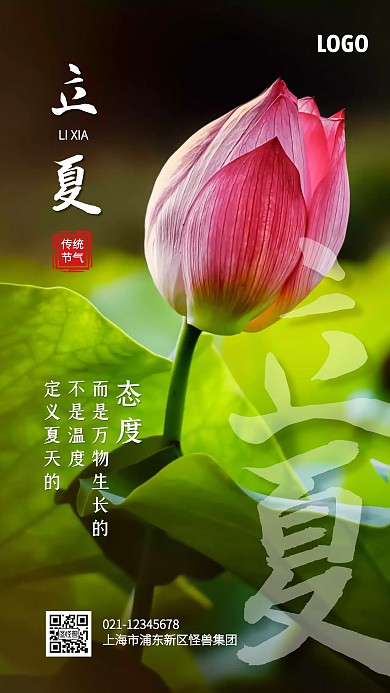 荷花简约立夏节气手机海报
