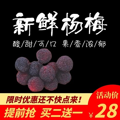 杨梅背景图宣传促销直通车