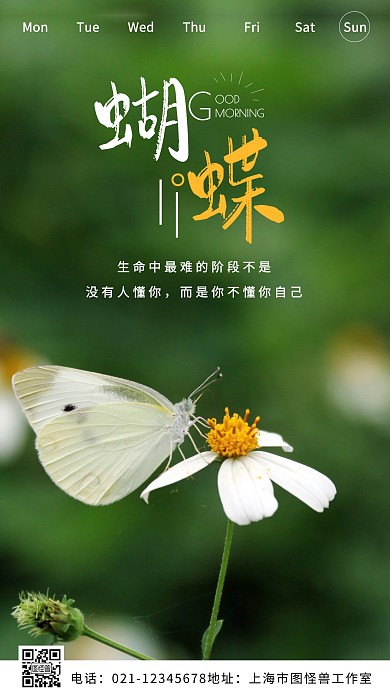 早安蝴蝶摄影简约创意日签