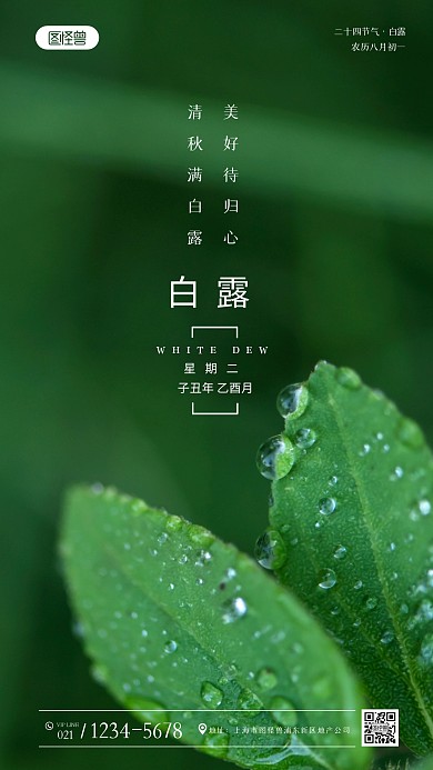 白露传统节日节气简约风摄影图海报