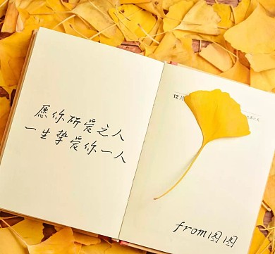创意书本写字文字欢迎光临红包朋友圈封面