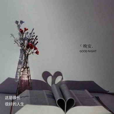 摄影风创意晚安问候