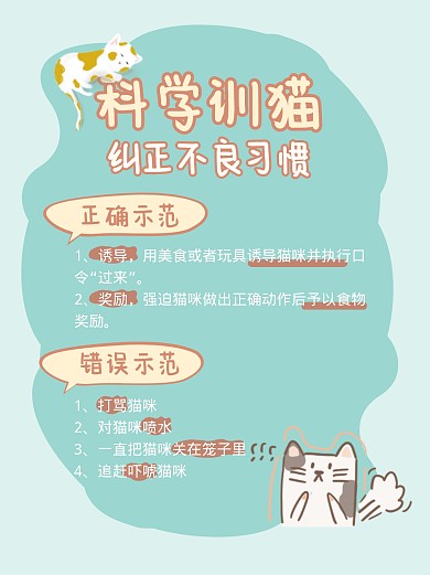 科学训猫指南小红书封面