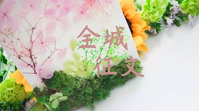征文比赛创意简约宣传公众号封面模板