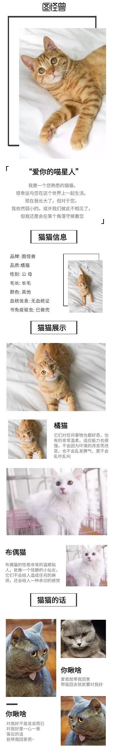 爱你的喵星人黑色简约淘宝详情页猫咪