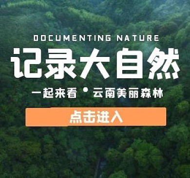 简约大气纪录片B站视频封面