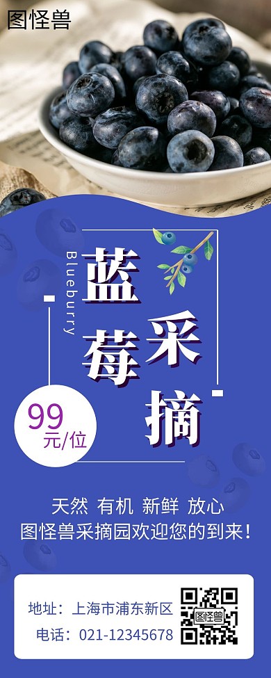 蓝莓采摘蓝色简约营销长图