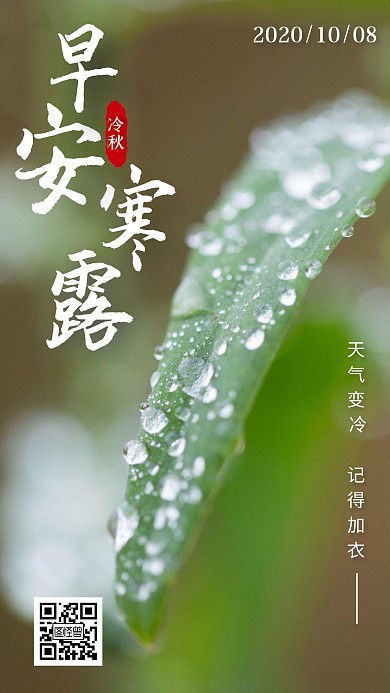 早安寒露2020语录摄影风绿色背景日签