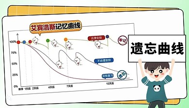 遗忘曲线科普模型简约风课程封面