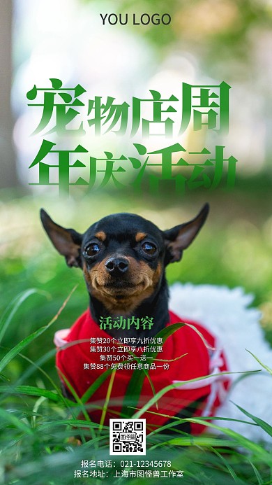 宠物店周年庆活动摄影图海报