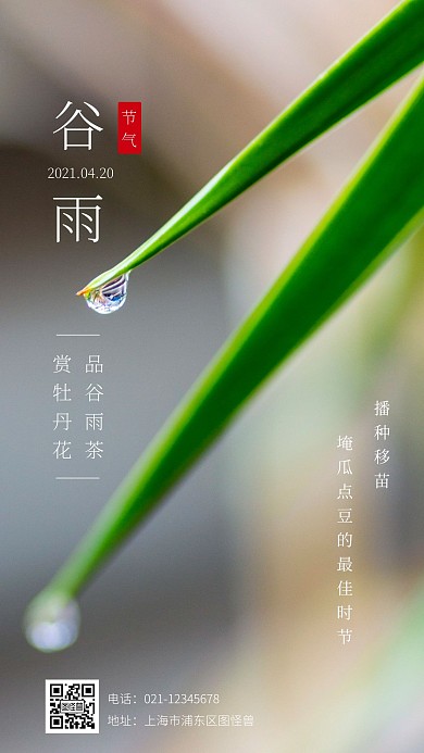 谷雨节气习俗介绍清新绿色摄影图海报