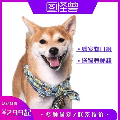 宠物创意紫色宠物宣传淘宝主图