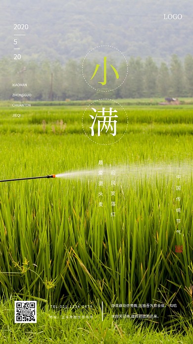 创意清新小满手机海报