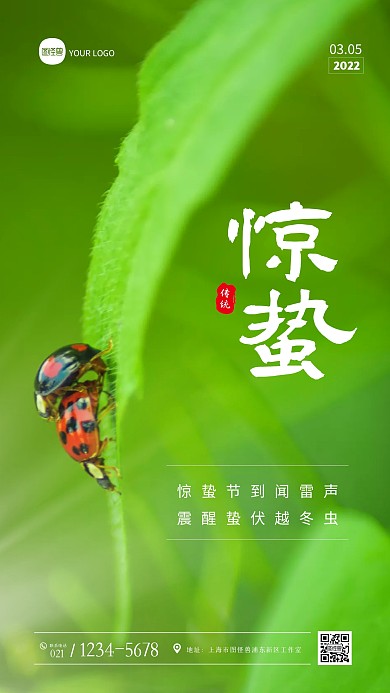 绿色清新唯美惊蛰节气祝福问候摄影图海报