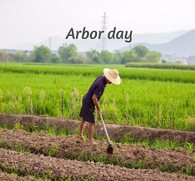 绿色卡通植树节种树红包朋友圈封面