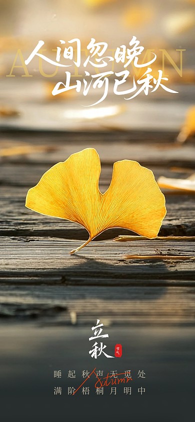 简约摄影风立秋节气宣传海报