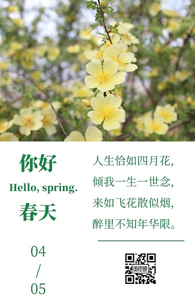 简约黄色春天日签图日签