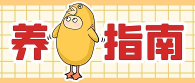 基金理财简约公众号封面首图