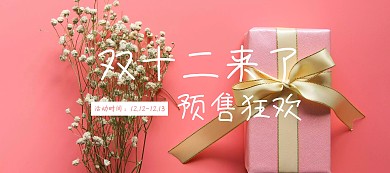 双十二简约预售狂欢海报banner
