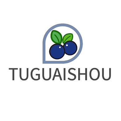 蓝色卡通蓝莓水果绿叶logo设计