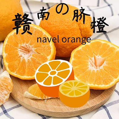 脐橙主图橙子橘子脐橙 食品水果