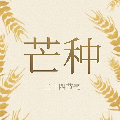 芒种节气问候祝福插画公众号封面次图