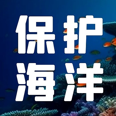 世界海洋日简约彩色微信公众号封面次图