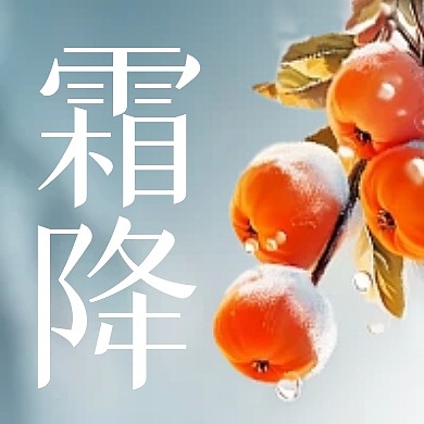 霜降传统节气祝福简约公众号封面次图