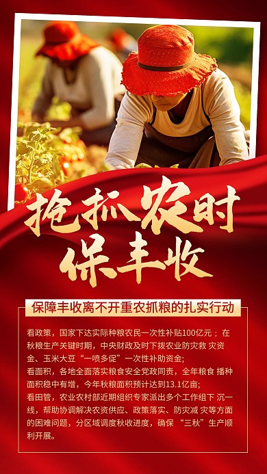 政策解读乡村振兴保丰收宣传手机海报