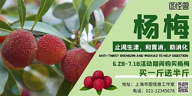 杨梅简约绿色优惠营销横版海报