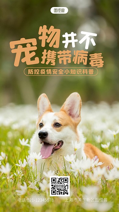 宠物不携带病毒简约宣传摄影图海报