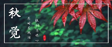 红叶枫叶公众号封面图立秋秋分绿色
