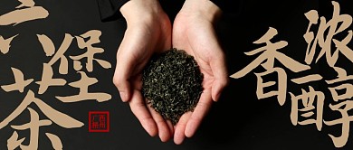 六堡茶公众号封面
