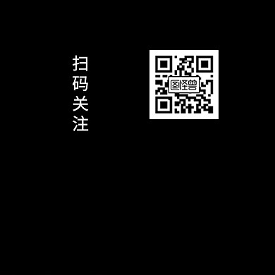 商务办公方形二维码公众号配图