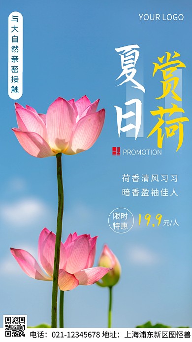 摄影图赏荷蓝色简约风手机海报