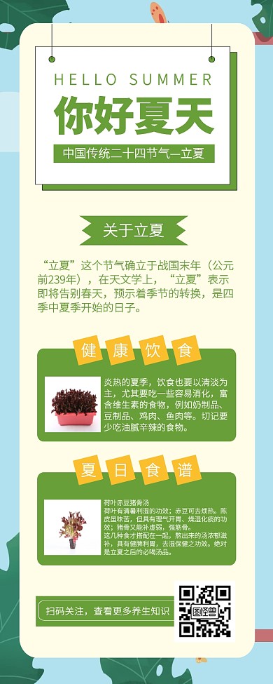 绿色二十四节气立夏科普养生营销长图