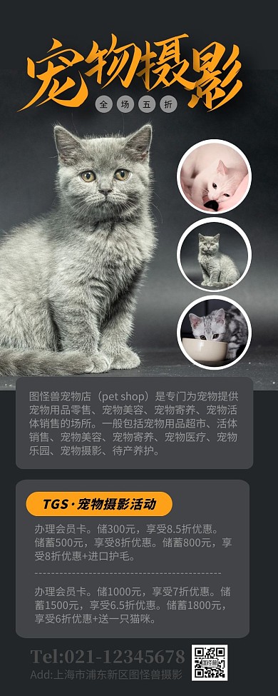 黑色简约摄影风萌宠摄影 长图