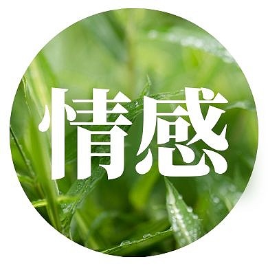 小草绿色小清新情感春天