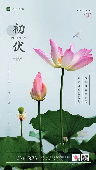 清新荷花初伏摄影图海报