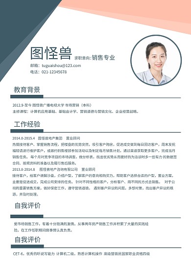 深蓝商务简洁销售跳槽求职简历