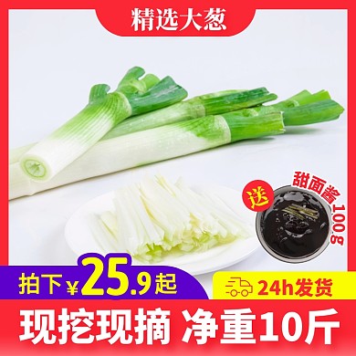 简约风食品生鲜蔬菜大葱主图直通车