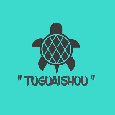 蓝绿色乌龟甲鱼简约logo设计