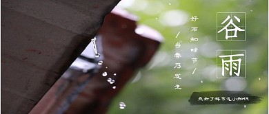 谷雨雨水24节气绿色清新公众号封面