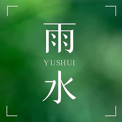 雨水二十四节气简约大气公众号次图